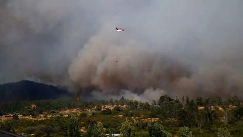 Incendios forestales afectan más de 1.190 hectáreas en la Región del Maule  - La Tercera