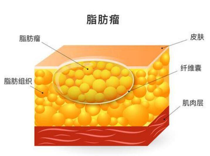 medias-uploads/ty-202312/d10b0c1106ecd78713d66dee7f082025.jpg 77.jpg